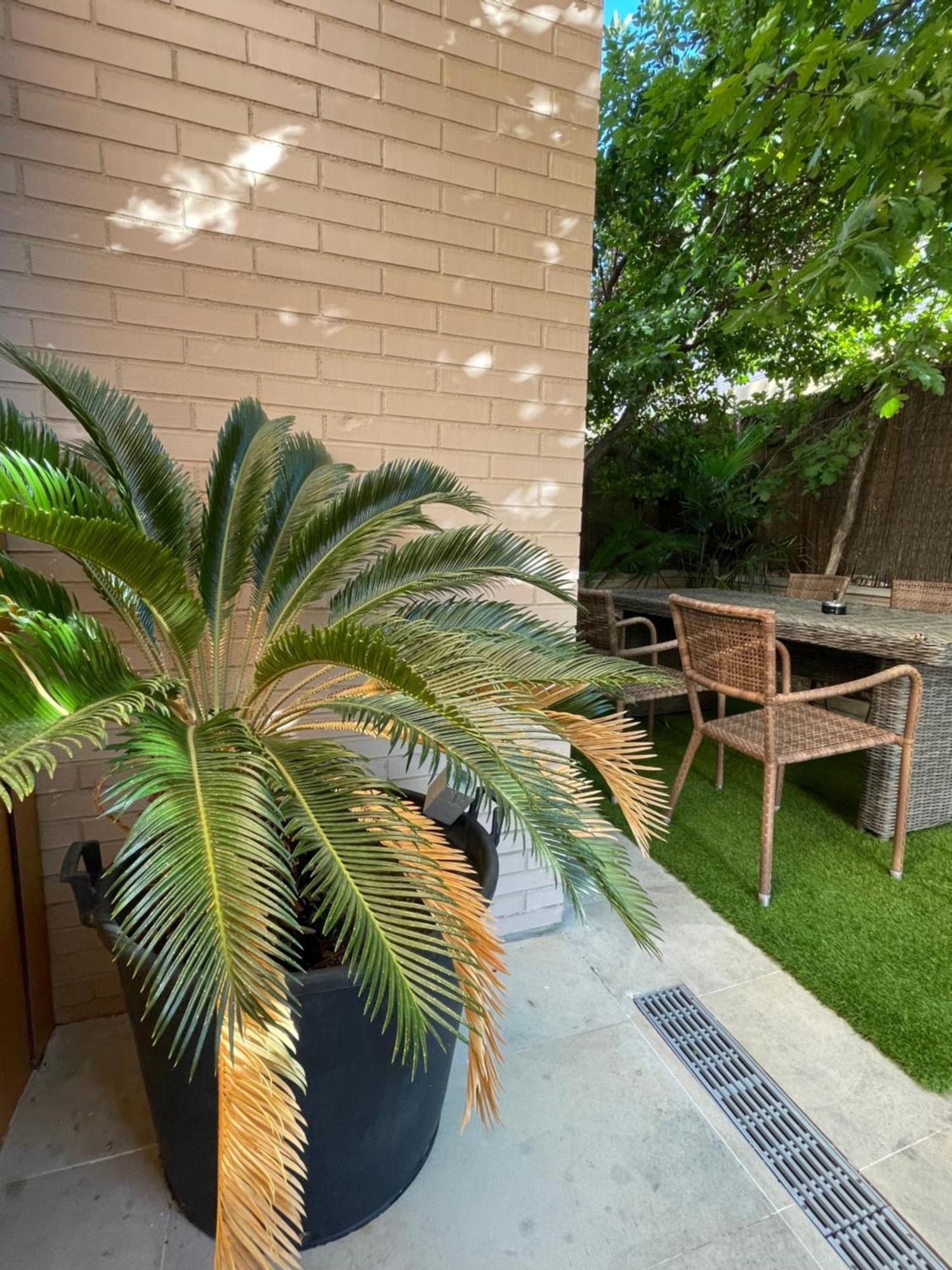 מדריד Valdevebas Chalet Con Piscina מראה חיצוני תמונה